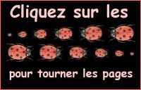 Cliquez pour agrandir