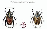 Click to enlarge (34 KB)